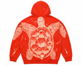 Bleach Hoodies
